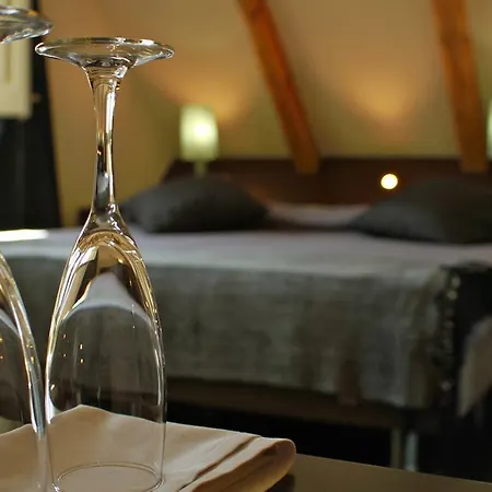 Hotel Sant Roc Solsona